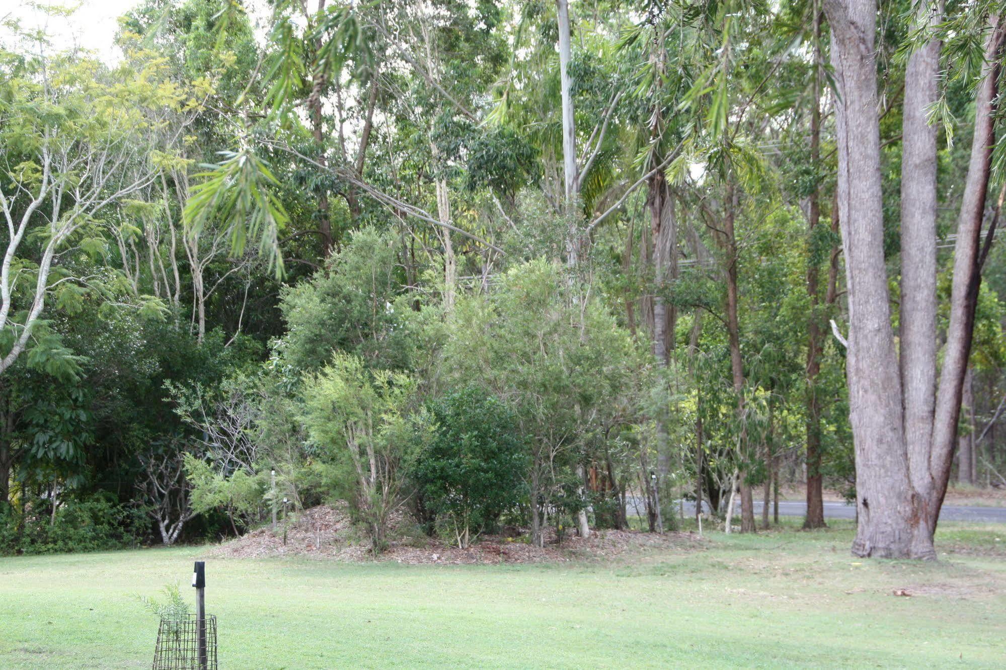 Bottlebrush B & B Maryborough Buitenkant foto